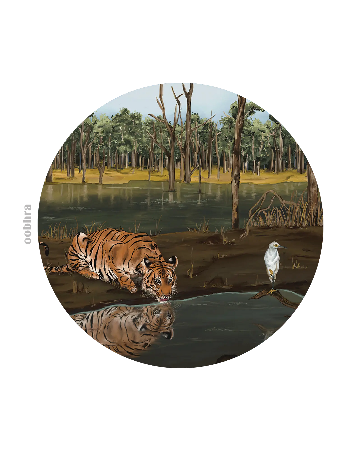 Pench National Park in Summer - Coaster