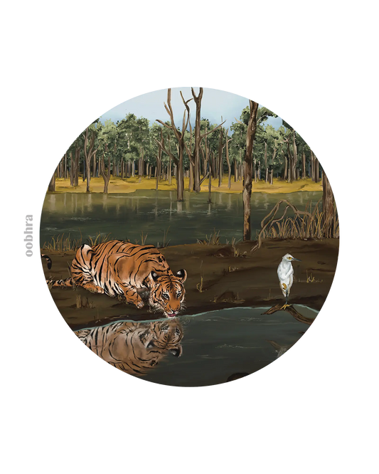 Pench National Park in Summer - Coaster