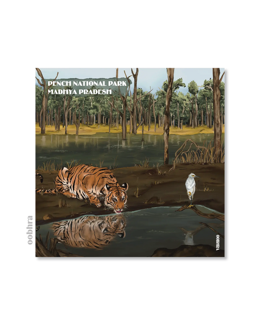 Pench National Park in Summer - Magnet