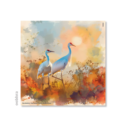 Keoladeo National Park - Canvas