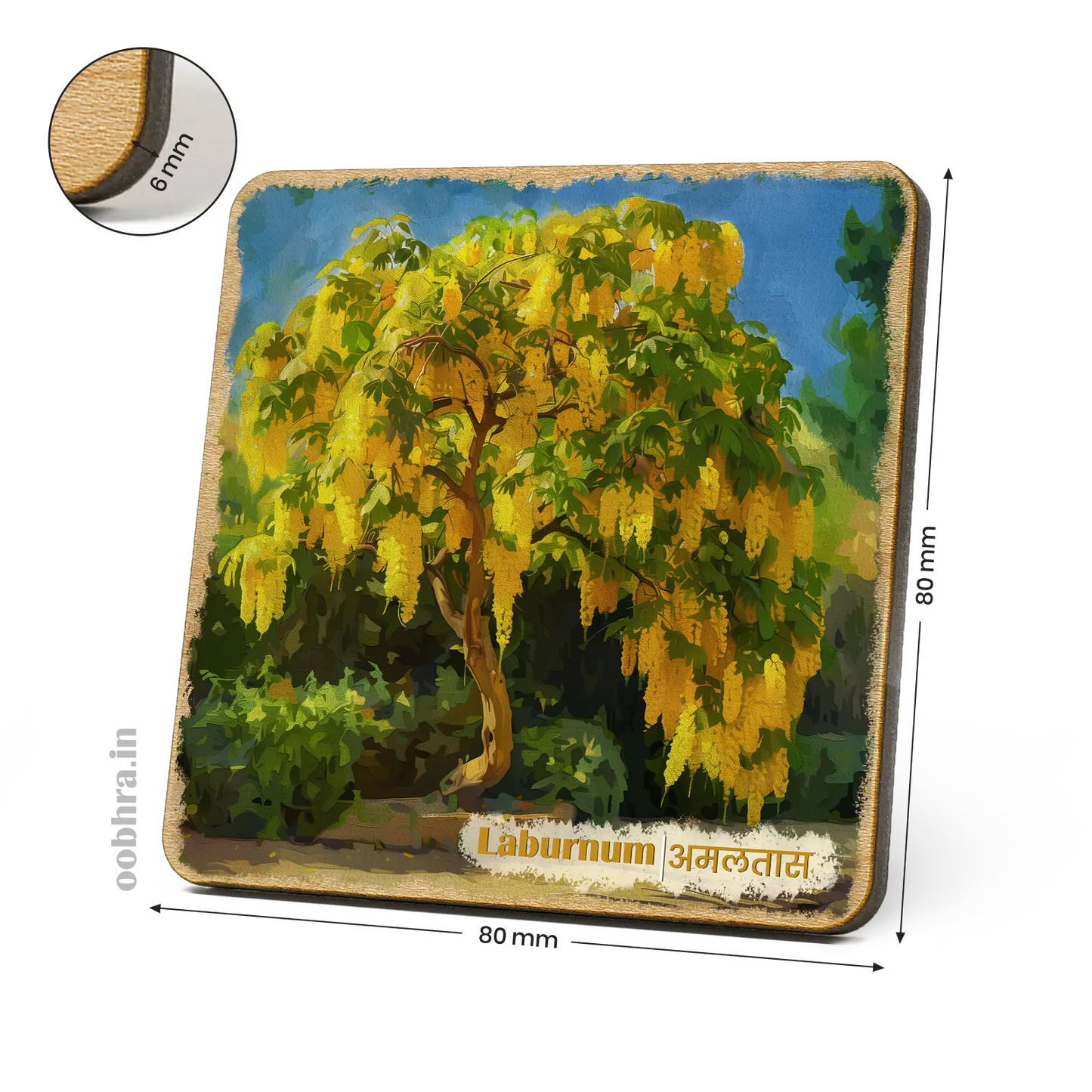 Laburnum (Amaltas) - Magnet