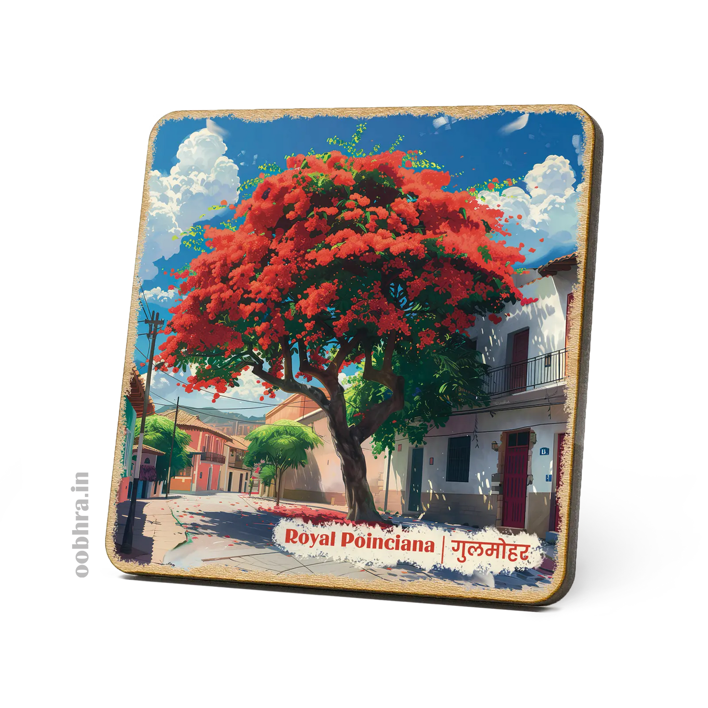 Gulmohar (Royal Poinciana) - Magnet