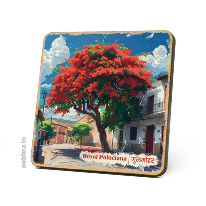 Gulmohar (Royal Poinciana) - Magnet