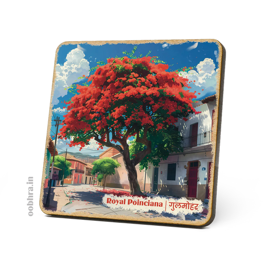 Gulmohar (Royal Poinciana) - Magnet