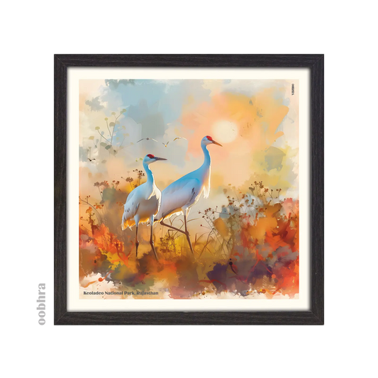 Keoladeo National Park - Canvas