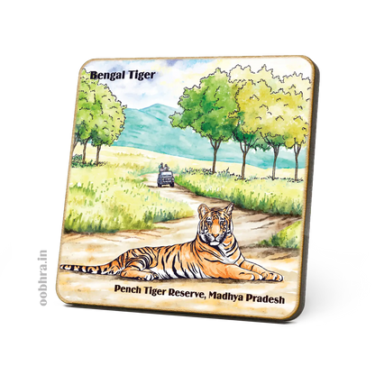 Pench Tiger Reserve - Magnet