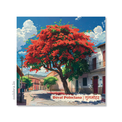 Gulmohar (Royal Poinciana) - Magnet