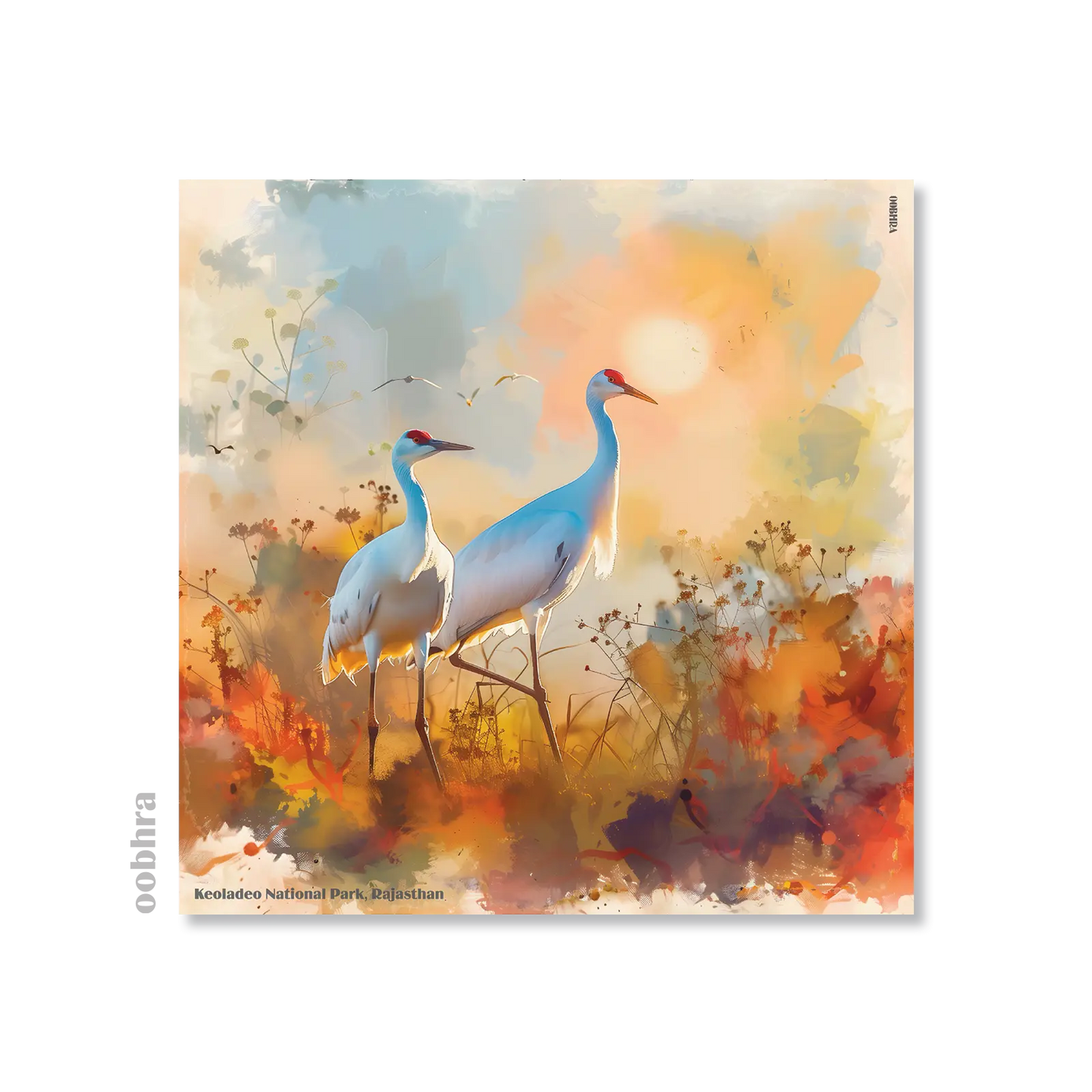 Keoladeo National Park - Canvas