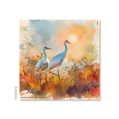 Keoladeo National Park - Canvas