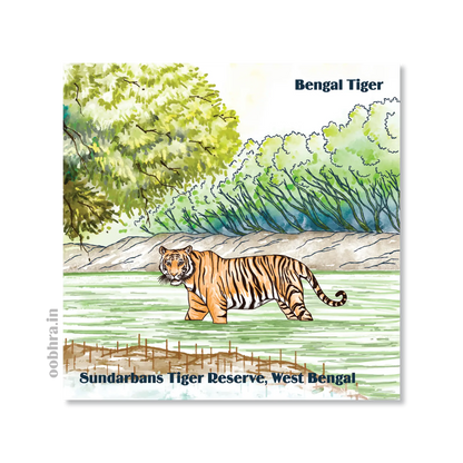 Sundarbans National Park - Magnet