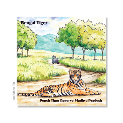 Pench Tiger Reserve - Magnet