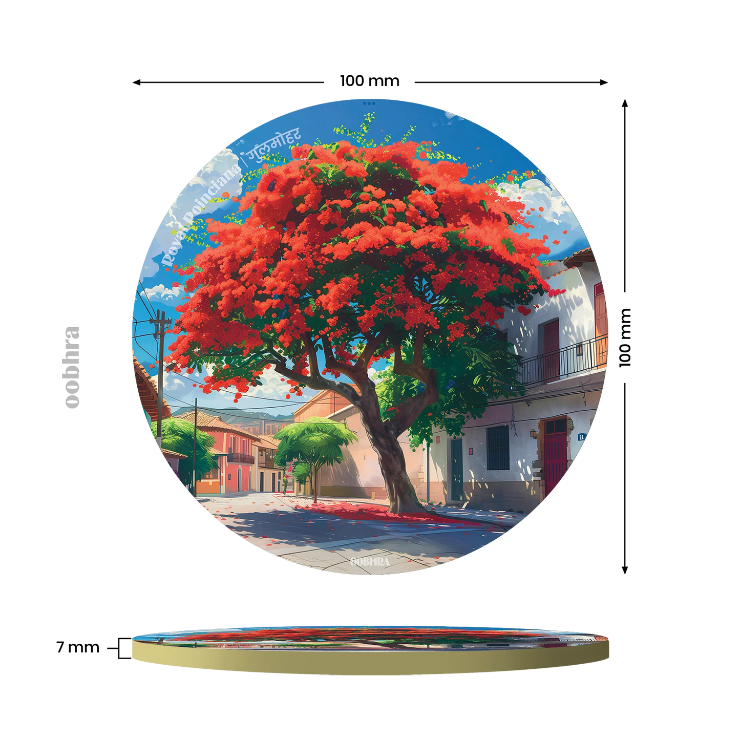 Gulmohar (Royal Poinciana) - Coaster