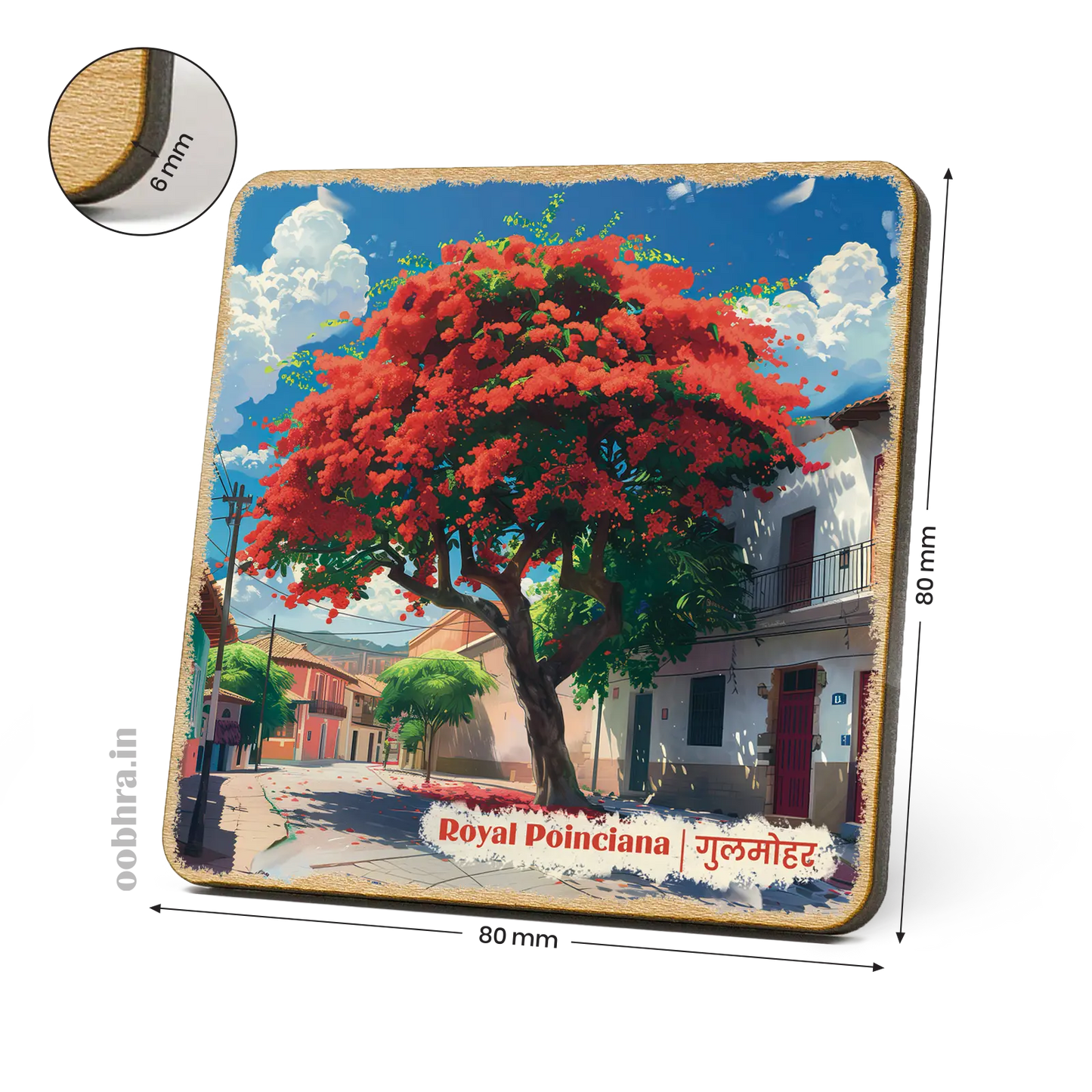 Gulmohar (Royal Poinciana) - Magnet