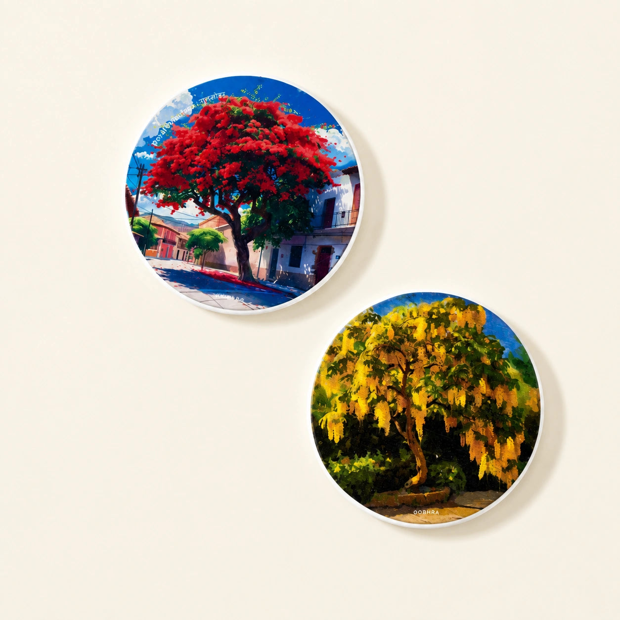 Diatom coaster featuring original artwork of Gulmohar and Laburnum flowers.