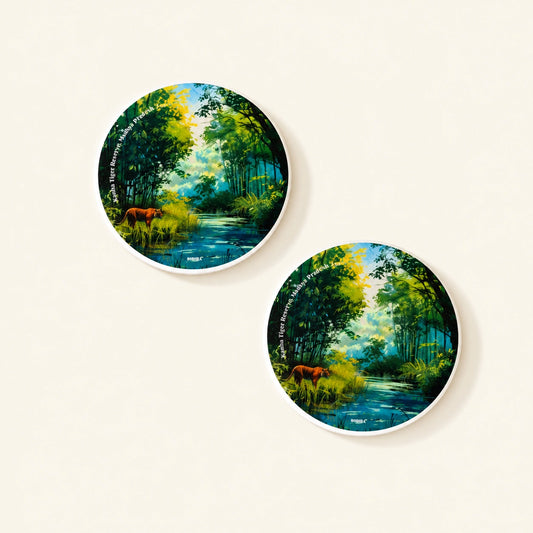 Diatom coaster featuring original artwork inspired by Kanha Tiger Reserve, Madhya Pradesh.