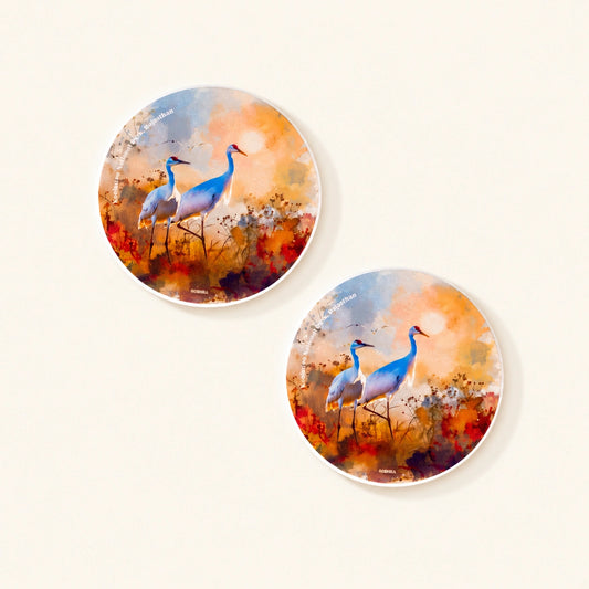 Diatom coaster featuring original artwork inspired by Keoladeo National Park, Rajasthan.