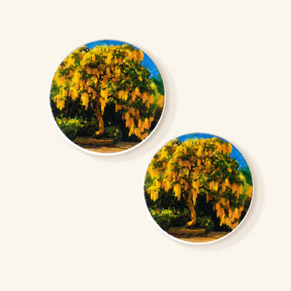 Diatom coaster featuring original artwork of blooming laburnum flowers.