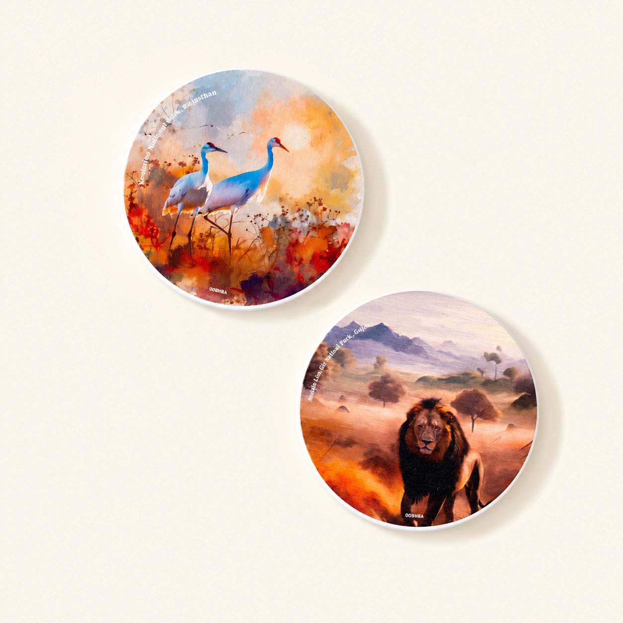 Diatom coaster featuring original artwork inspired by India's national parks.
