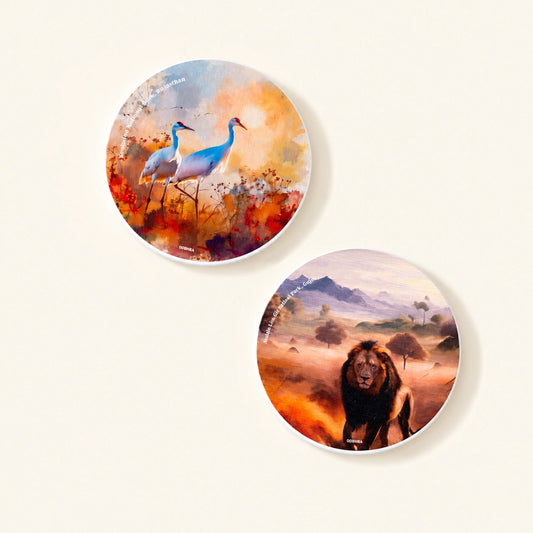 Diatom coaster featuring original artwork inspired by India's national parks.